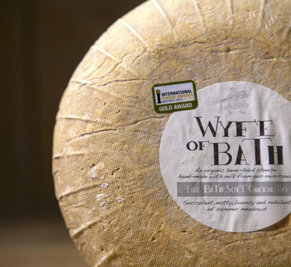 Wyfe of Bath